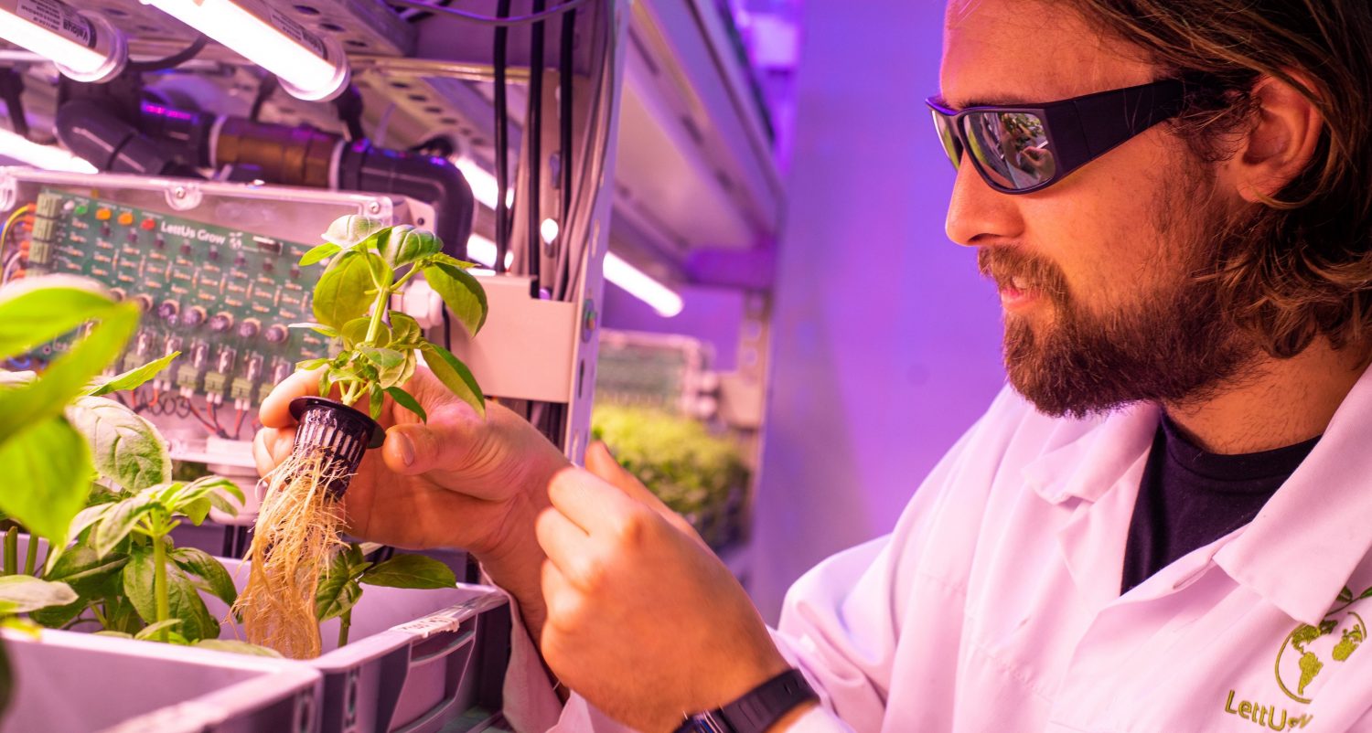 LettUs Grow raises £2.35m as demand for vertical farming technology rises