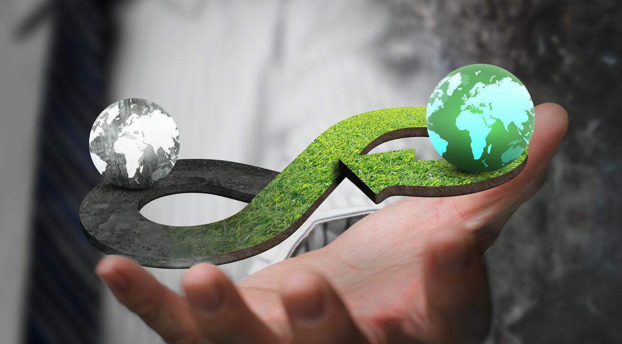 Making sense of the circular economy